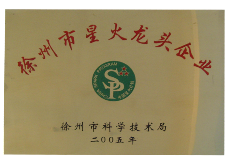 徐州市星火龍頭企業(yè).png
